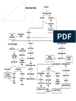 Pathways CKD