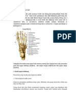 Anatomi pedis.pdf