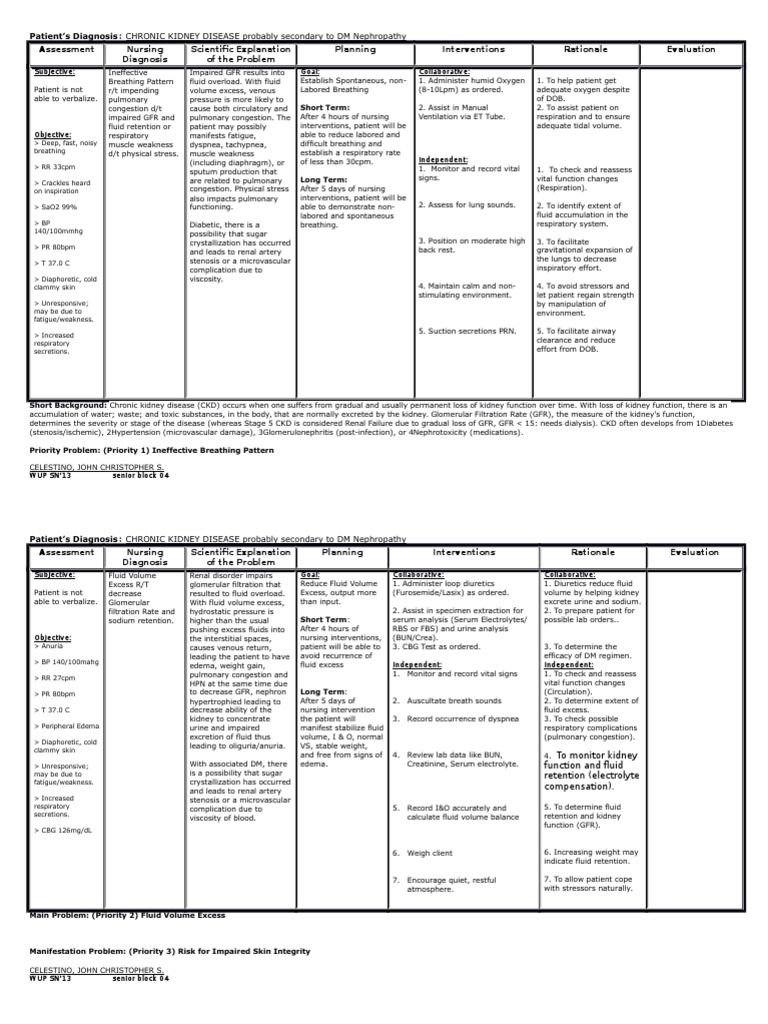 Nursing Care for CKD Patients | PDF | Chronic Kidney Disease | Renal ...