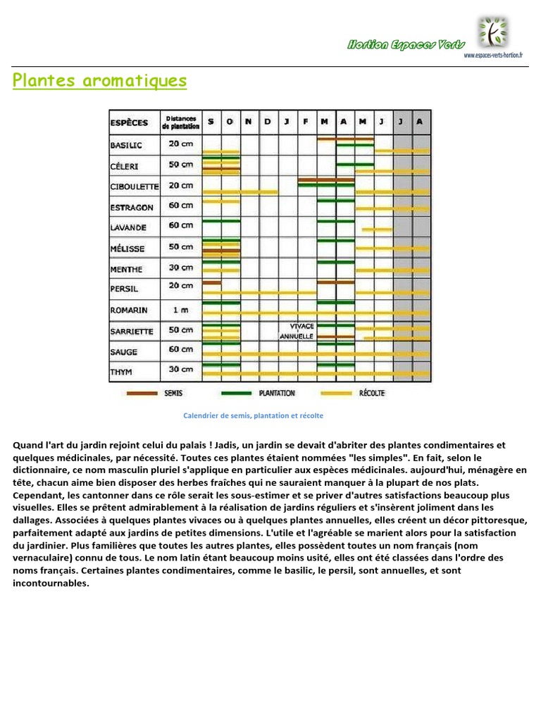 Plantes aromatiques: Calendrier de semis, plantation et récolte