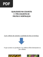 Aula Tec. Vegetais - Qualidade Na Colheita - Parte II