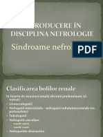 1.Nefrologie_introducere.Sindroamele nefrotice.pdf