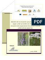 131486137-estudio-lavandin-y-coriandro-pdf.pdf