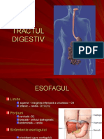 Tract Digestiv 1