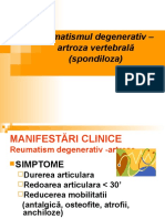 Curs Nr. 6-2 Artroza Vertebrala