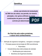 Aula DNA Recombinante