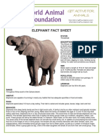 elephant.pdf