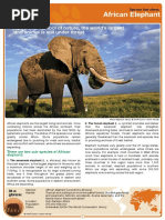 African Elephant Factsheet2007w