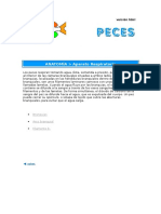 Respiración de Peces