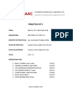 Practica N1 Consolidacion PDF
