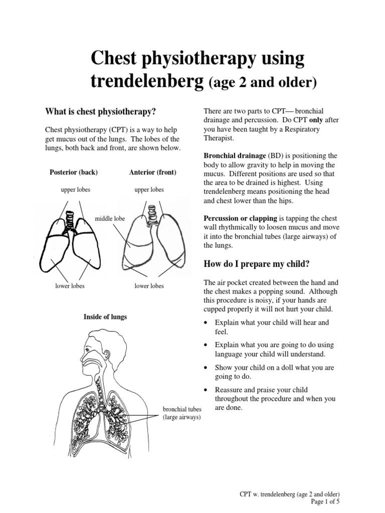 Chest Physiotherapy Using Trendelenberg PDF PDF Respiratory Tract
