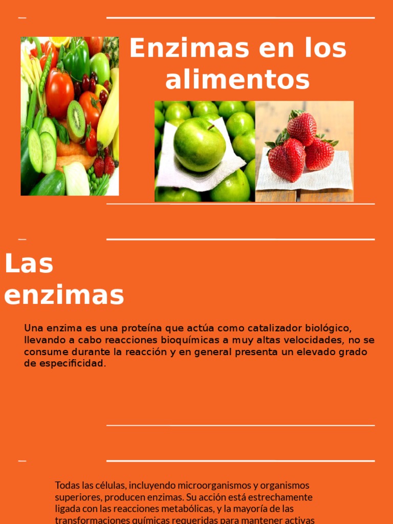 Enzimas de Los Alimentos Enzima Sitio activo Prueba gratuita de 30 días Scribd