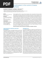 Levetiracetam Epilepsia