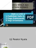 Uji Nyala Dan Mutiara Boraks 