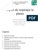 Tipuri de Respirație La Plante