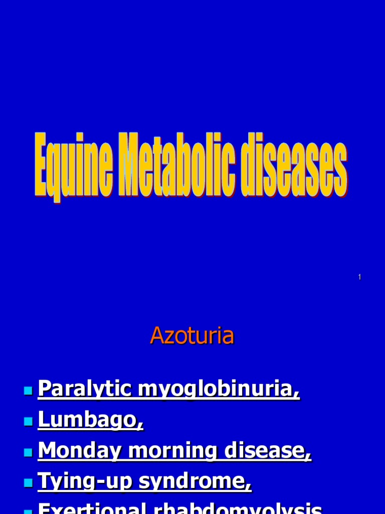 Azoturia Medical Term | Azotemia: Symptoms, Causes, and Treatment – LQZQIS