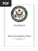 Select Investigative Panel Final Report