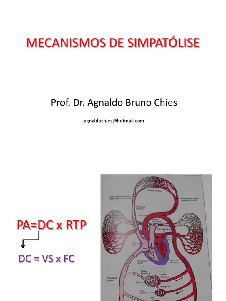 Mecanismos de Simpatólise | PDF