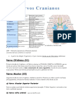 São 12 Pares de Nervos Cranianos