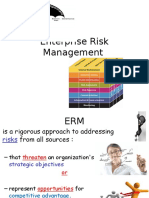 D1 Enterprise Risk Management