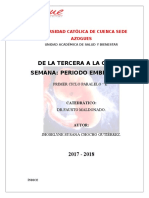 Periodo Embrionario Final