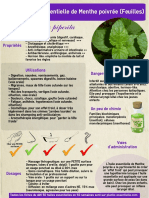 ficheHE21menthe.pdf