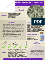 ficheHE9teatree PDF