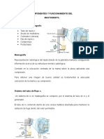 Componentes y Funcionamiento Del Mastografo