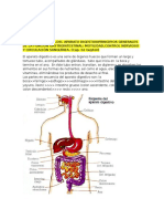 FISIOLOGIA GASTROINTESTINAL.docx