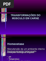 Conversão Músculo Em Carne