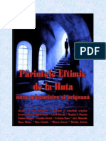 eftimie.pdf