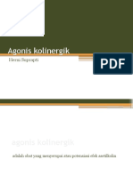 Agonis Kolinergik