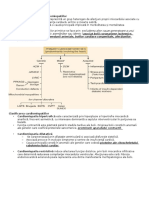 Cardiomiopatiile Primitive