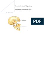 Anatomi Cranium Dan Persarafan Cranium