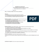 Raport de Activitate PDF