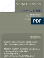 Css Animal Bites
