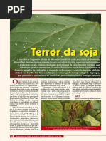 Terror Da Soja