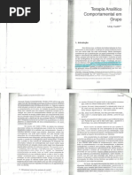 Terapia Analitico Comportamental Em Grupo - Delitti