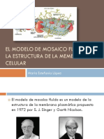 Modelo de mosaico fluido.pdf