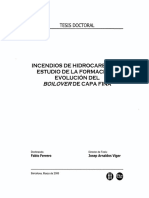 INCENDIOS DE HIDROCARBUROS: ESTUDIO DE LA FORMACIÓN Y EVOLUCIÓN DEL BO/LOVERDE CAPA FINA