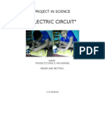 "Electric Circuit": Project in Science