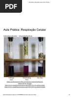 Aula Prática_ Respiração Celular _ Aula Na Prática