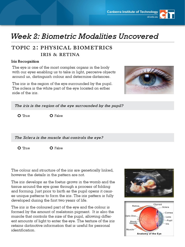 Biometric Eye Recognition Basics | PDF | Image Scanner | Human Eye
