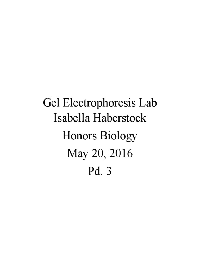 gel electrophoresis lab report Gel Electrophoresis Agarose Gel