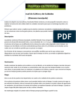 Dionaea muscipula manual de Cuidados y Cultivo.pdf