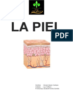 La Piel