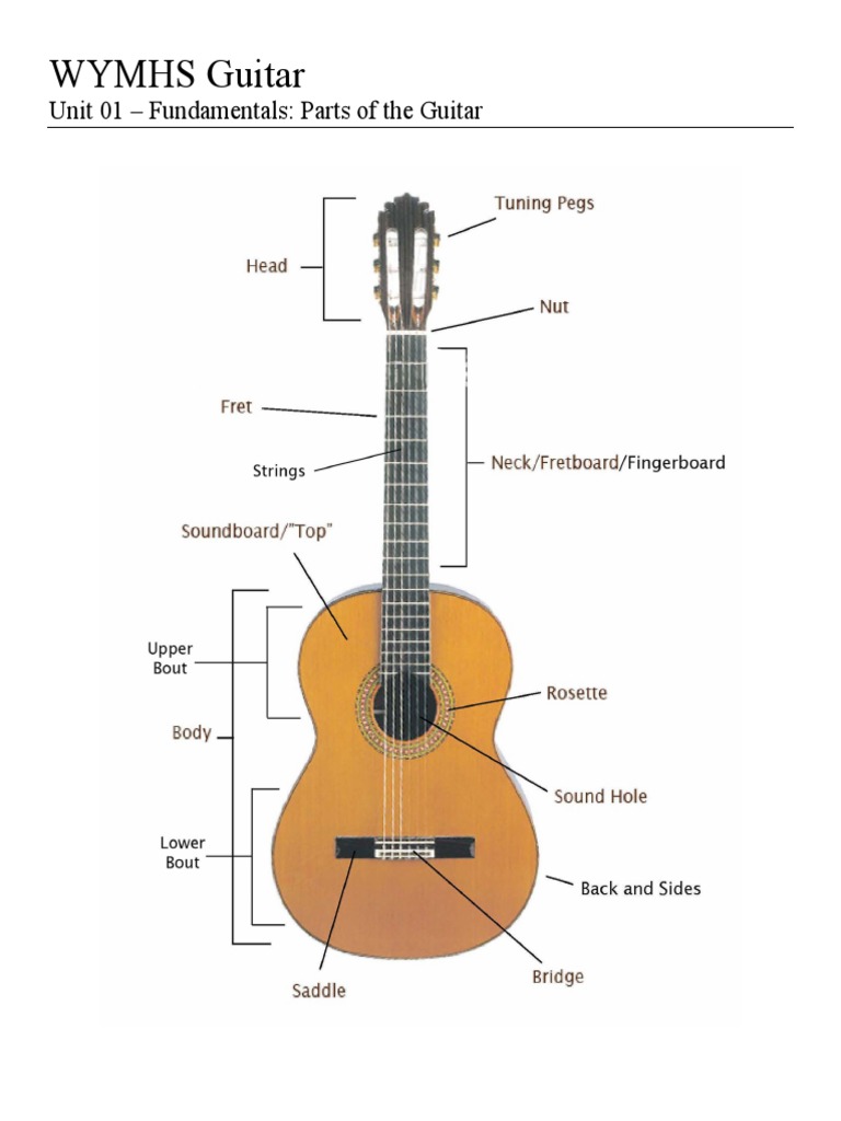 Parts of The Guitar | PDF