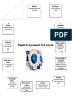 Niveles de Organización de La Materia