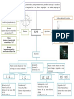 Mapa Conceptual de La Elipse