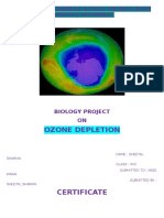Ozone Depletion Biology Project